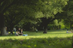 公園で楽しむピクニックに最適な節約レシピは？