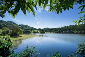 おからパウダーを使った節約ダイエットの成功法は？
