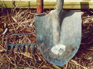チラシ作成ツールを使った効果的なデザインのポイントは？