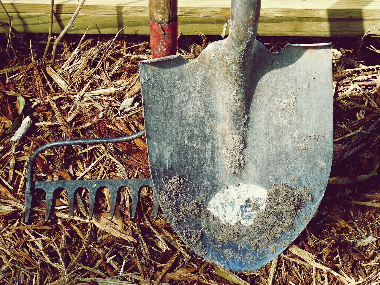 チラシ作成ツールを使った効果的なデザインのポイントは？