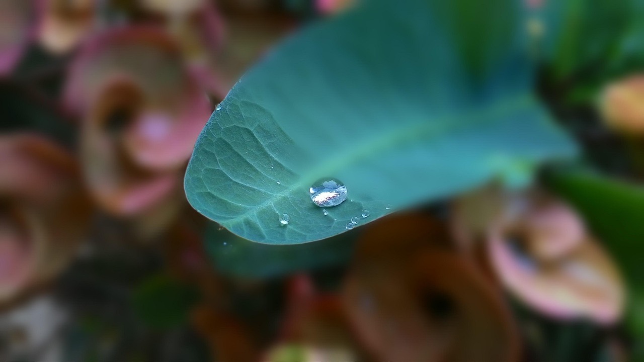 ポイ活で節約するための効果的な方法は？