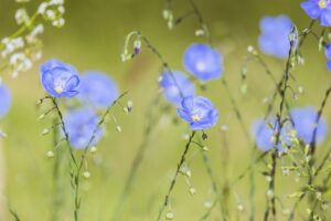アプリを使った家計簿の効果的な管理方法は？