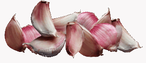 カット野菜のデメリットとは何か知っておくべきことは？