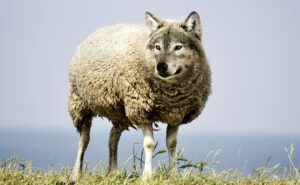 定期券の裏技を使ってお得に移動する方法は？