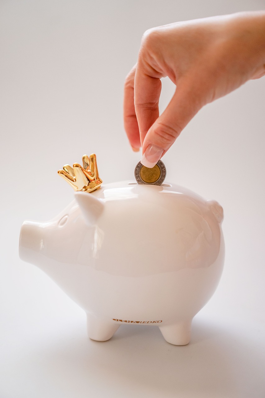 貯金とNISAを活用するための最適な方法は？