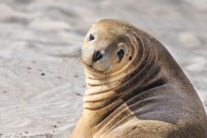 半額シールを狙う時間帯はいつがベスト？