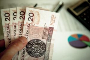 税金の節約手続きは初心者でもできるの？