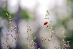 家計を守るための固定費見直しのポイントは？