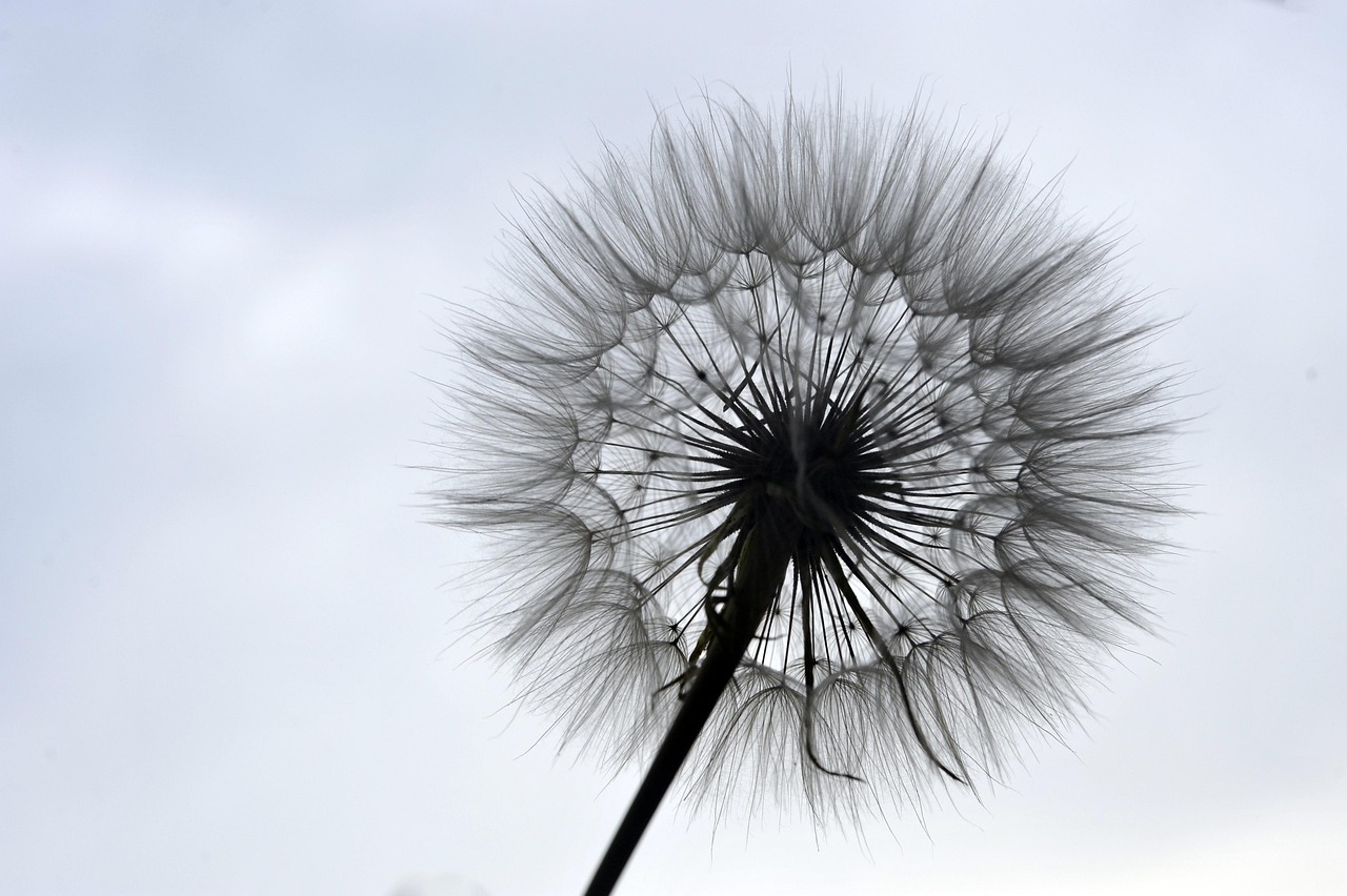 節水シャワーヘッドの効果は本当にある？