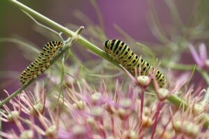 家計管理を見える化するための効果的な方法は？